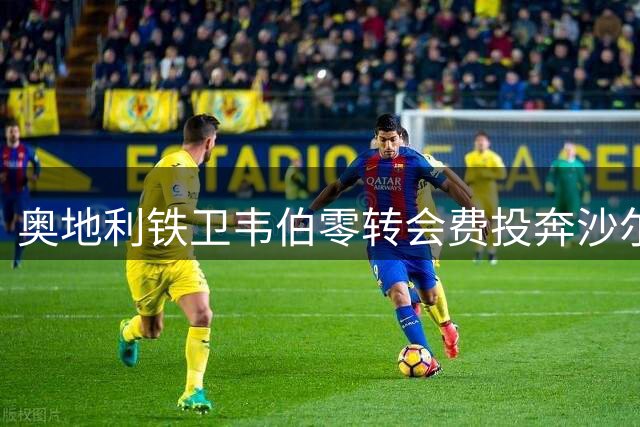 奥地利铁卫韦伯零转会费投奔沙尔克 签约三年盼重生