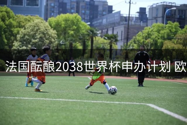 法国酝酿2038世界杯申办计划 欧洲资格成最大变数