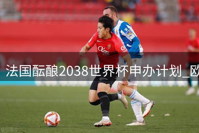 法国酝酿2038世界杯申办计划 欧洲资格成最大变数